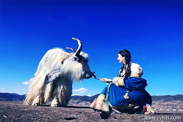 到西藏旅游兩個(gè)人大概多少錢