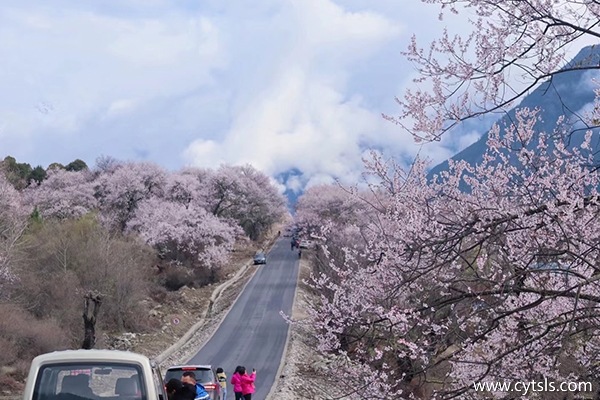 四月去林芝包車旅游多少錢(qián)