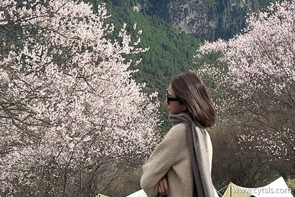 4月林芝包車大概多少錢(qián)